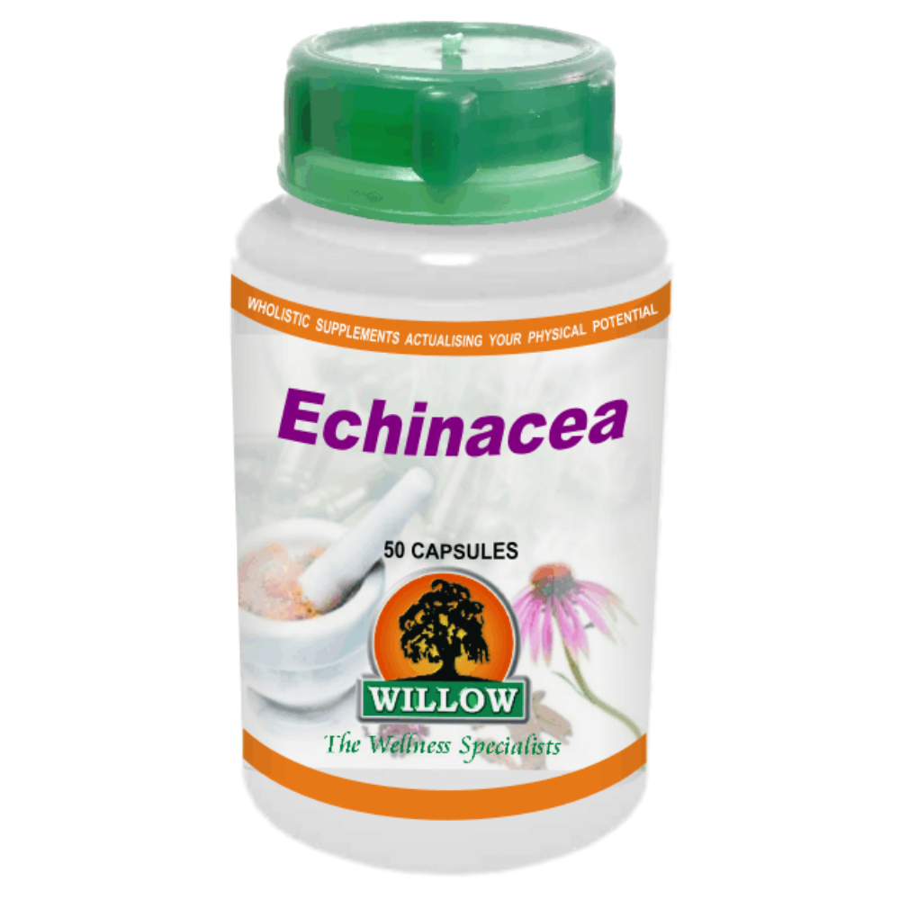 ECHINACEA Good Vibration